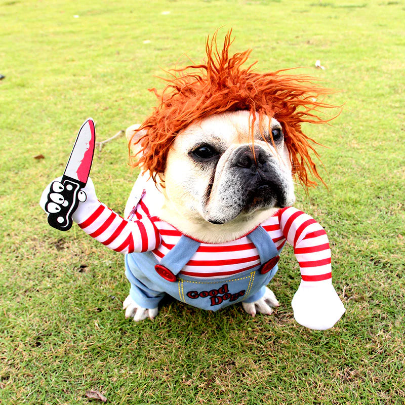 Halloween Pet Costume Halloween Pet Costume
