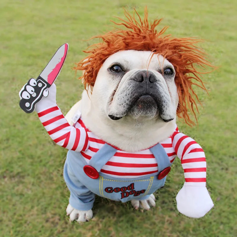 Halloween Pet Costume Halloween Pet Costume