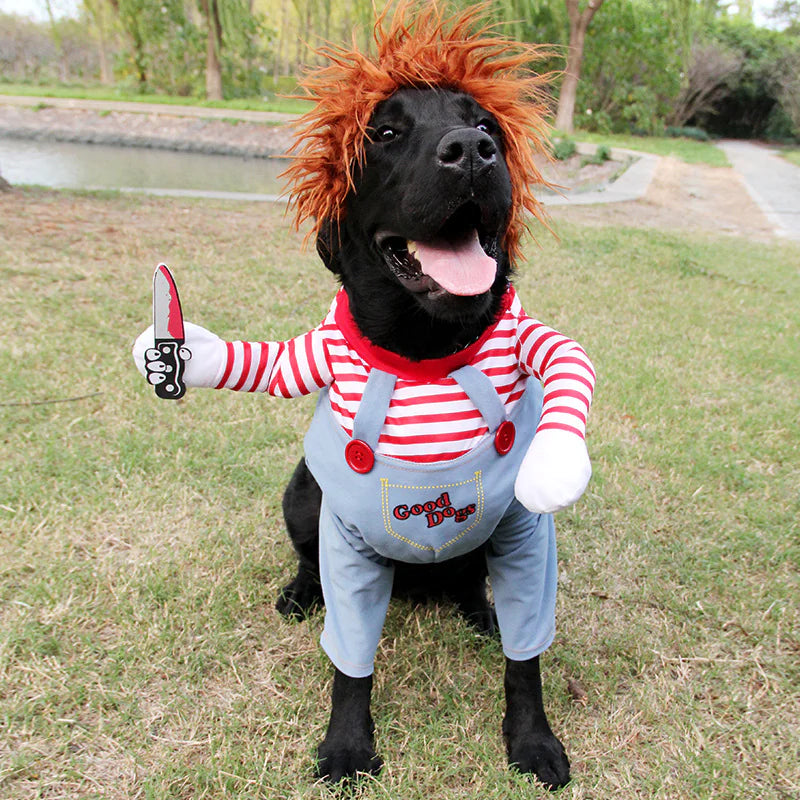 Halloween Pet Costume Halloween Pet Costume