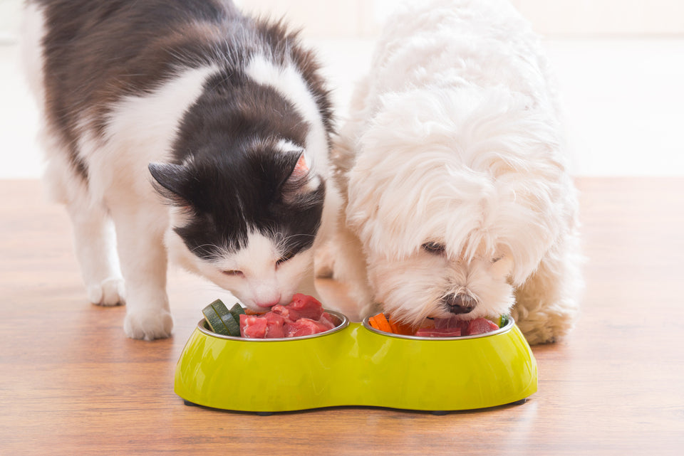 The Ultimate Guide to Pet Food: Store-Bought vs. Homemade