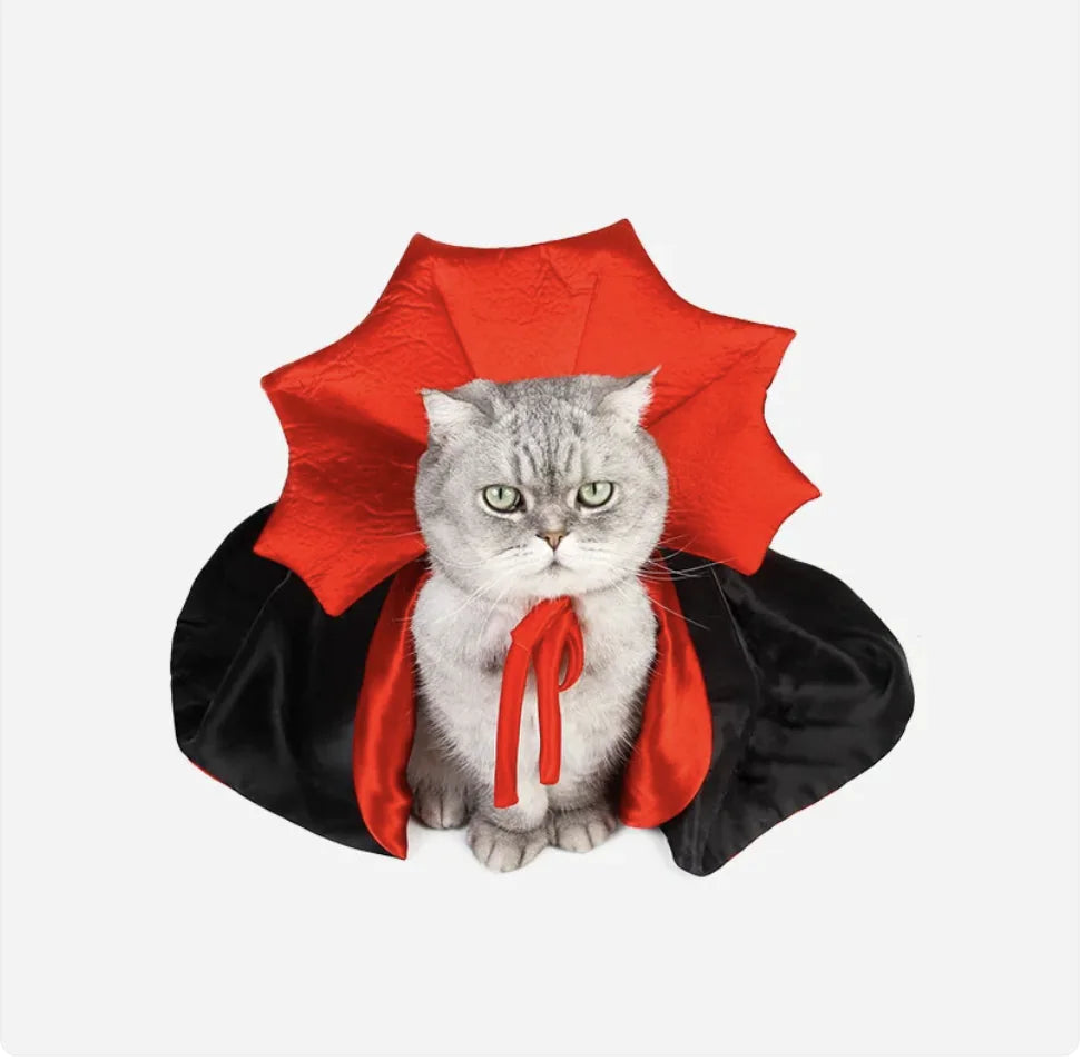 Pet Halloween pet Clothes Factory Performance