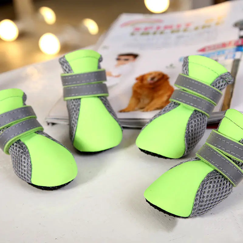 Spring Summer New Pet Shoes for Small Dogs