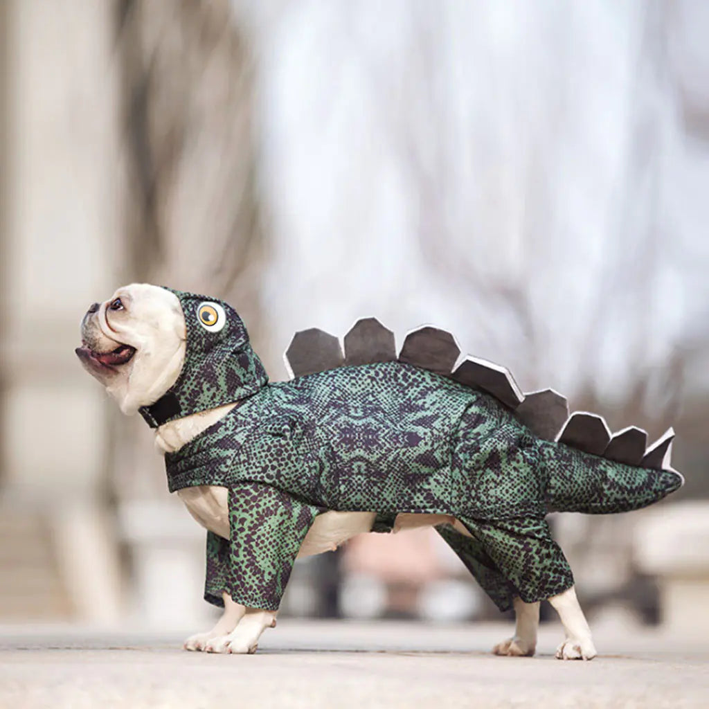 Halloween - Funny Dinosaur Costume for Pets