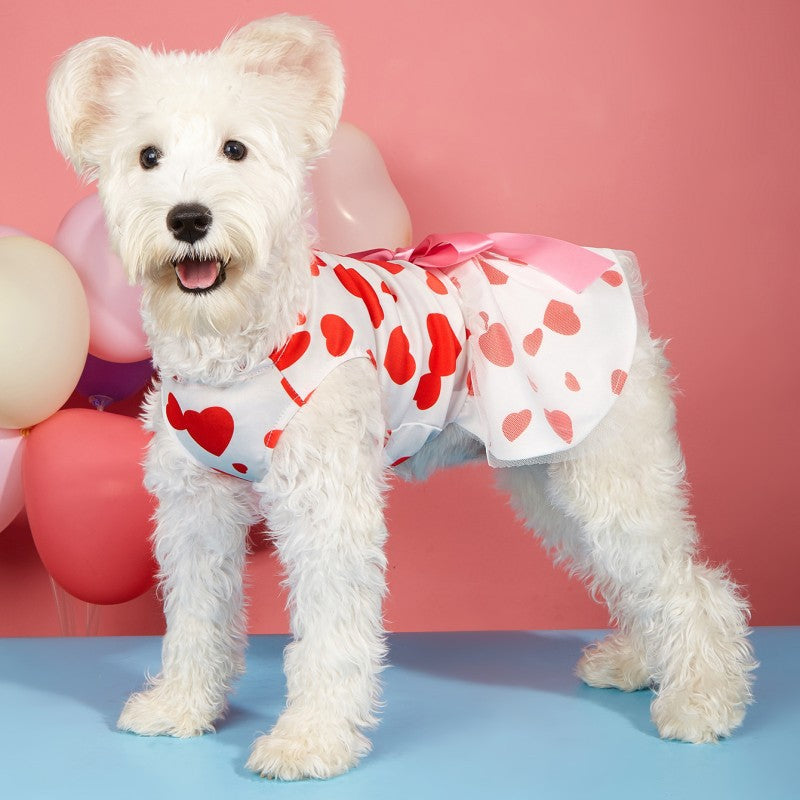Valentine's Day - Pet Printed Dress