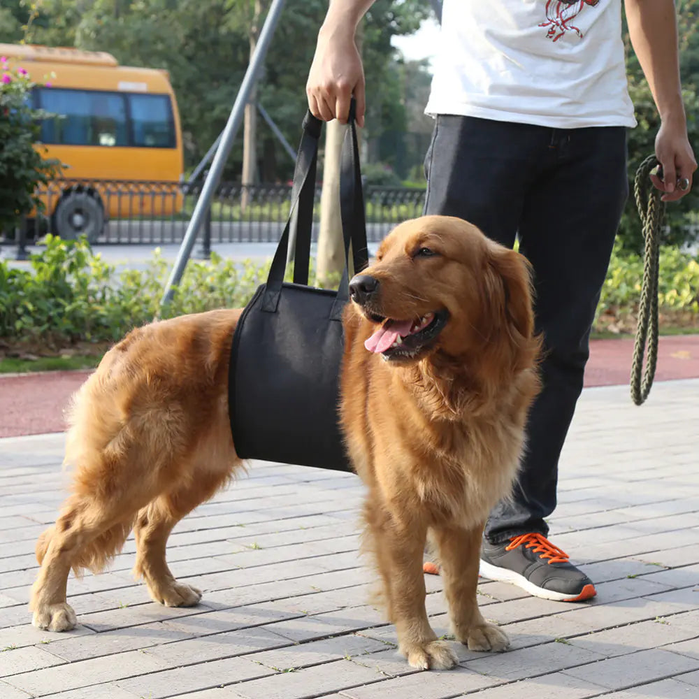Pet Support Harness for Injured Dogs (Small to Large)