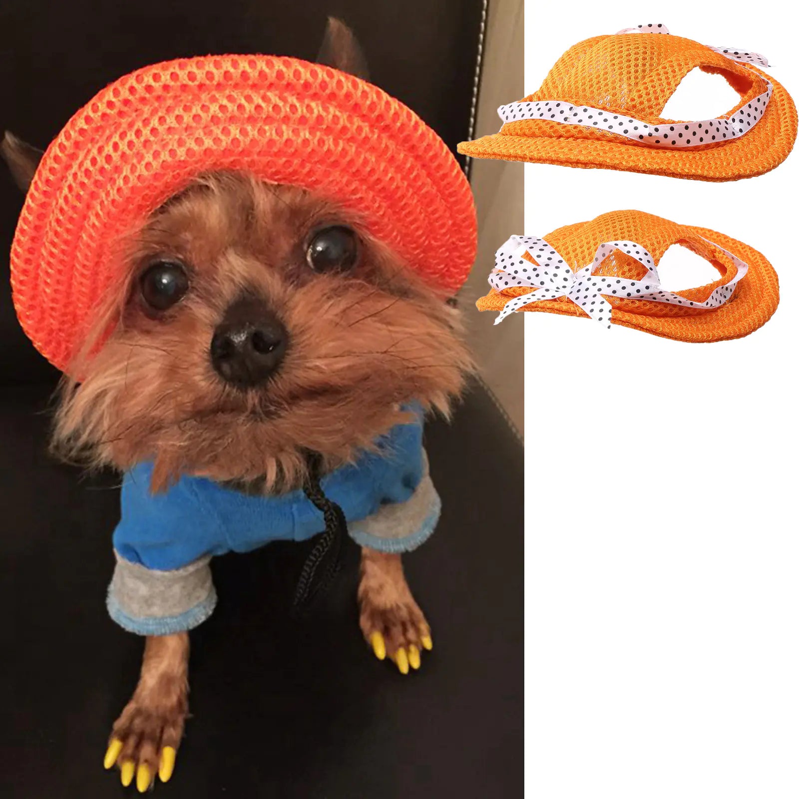 Summer Outdoor Breathable Cap - Pet Accessories