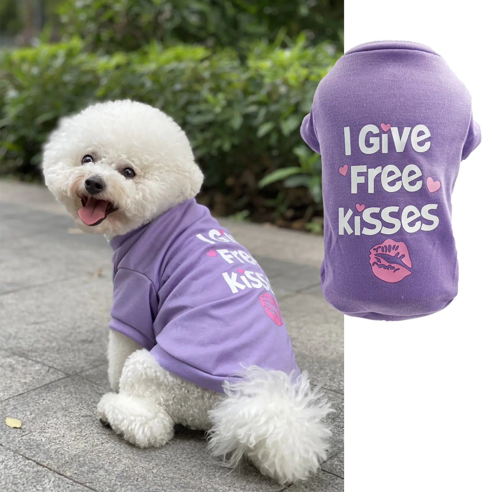 Spring and Summer Dog Apparel Collection
