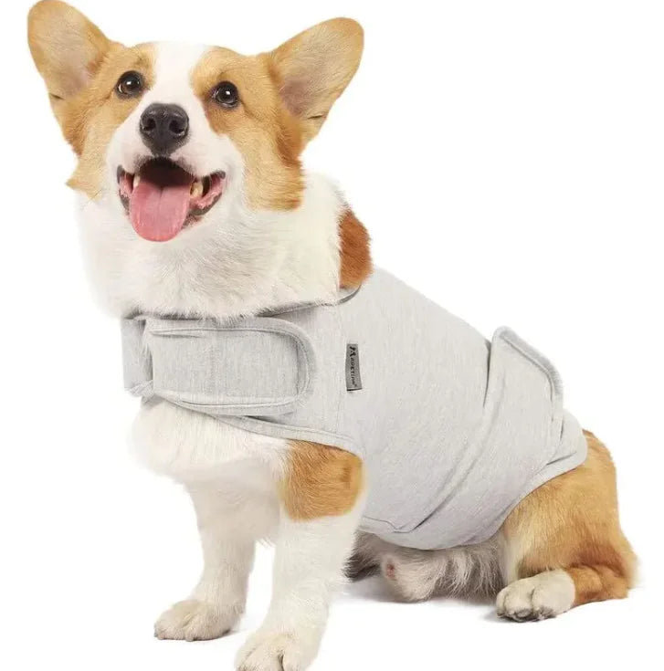 Calm Paws Anxiety Relief Tank - small to large pet