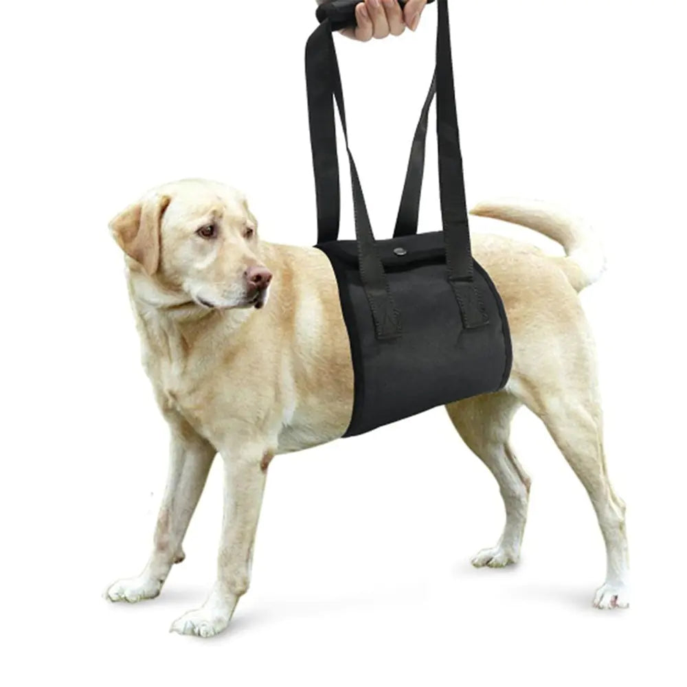 Pet Support Harness for Injured Dogs (Small to Large)