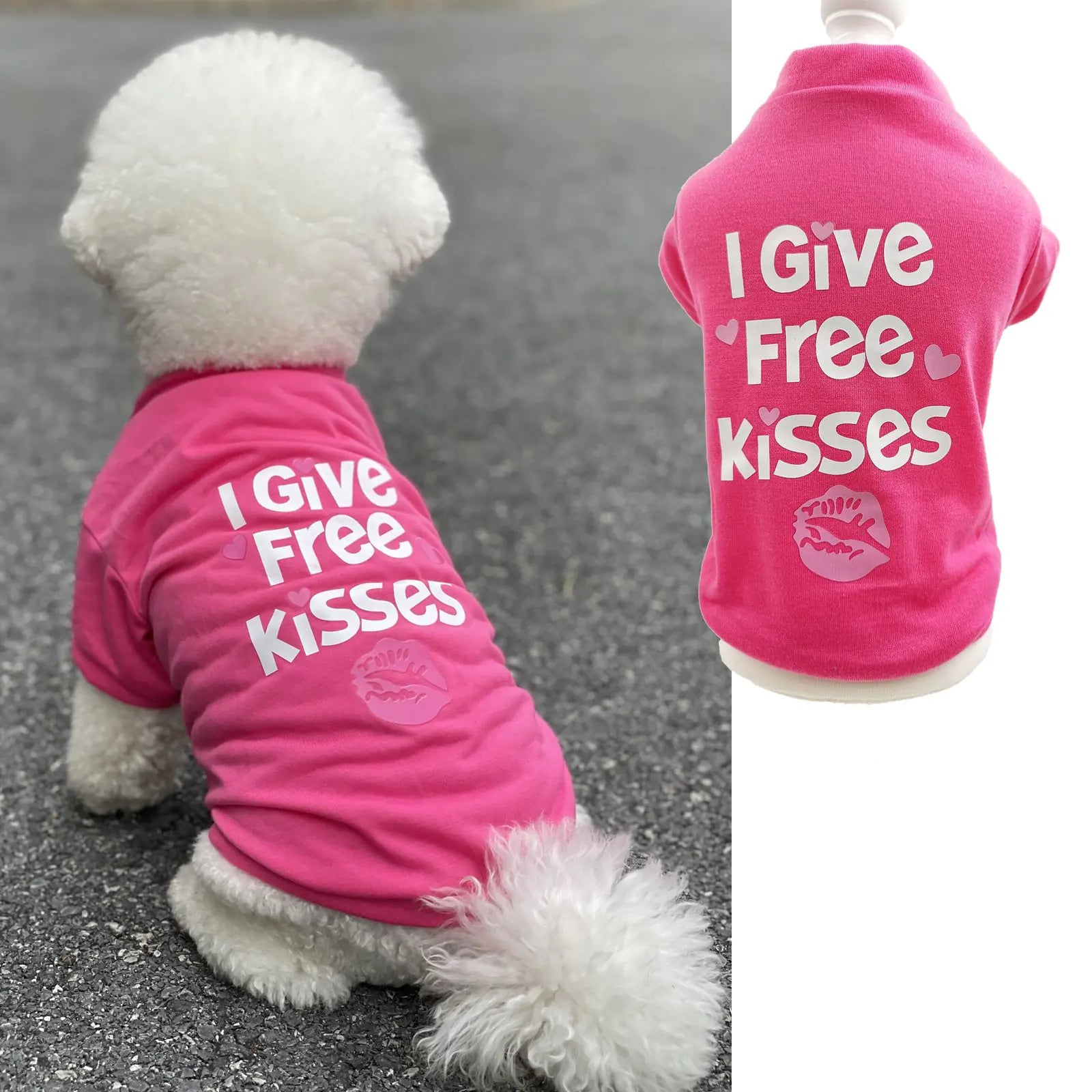 Spring and Summer Dog Apparel Collection