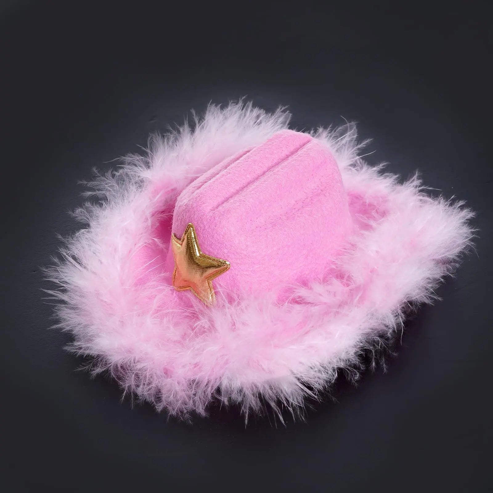Cowboy Hat with Feather Mini Pet Cowboy Costume for Small Pet Dogs Cat Party Accessories (Pink Small)