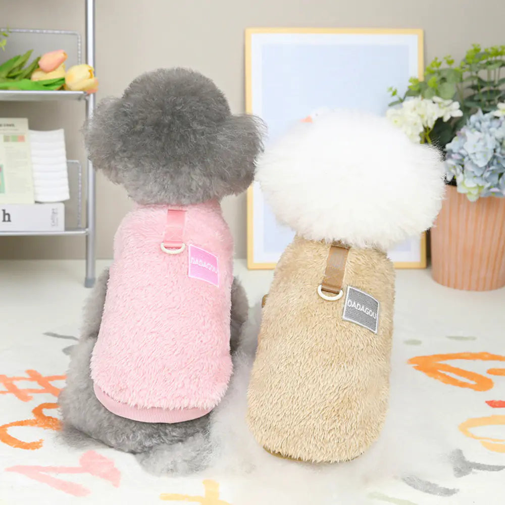 Fashionable Apparel for Your Pet