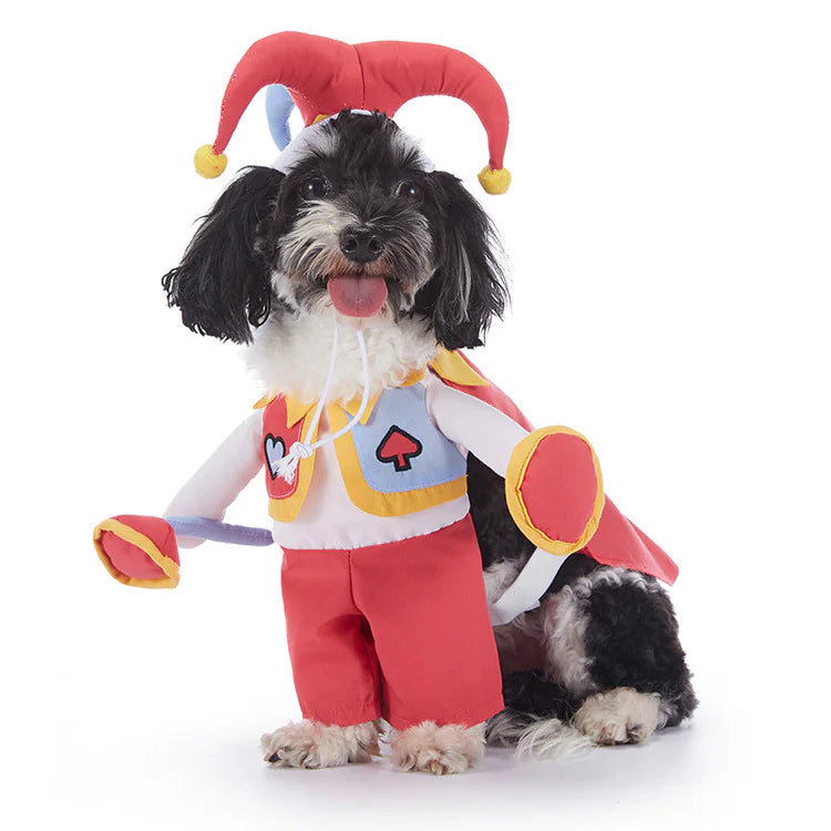 Halloween Pet Costumes