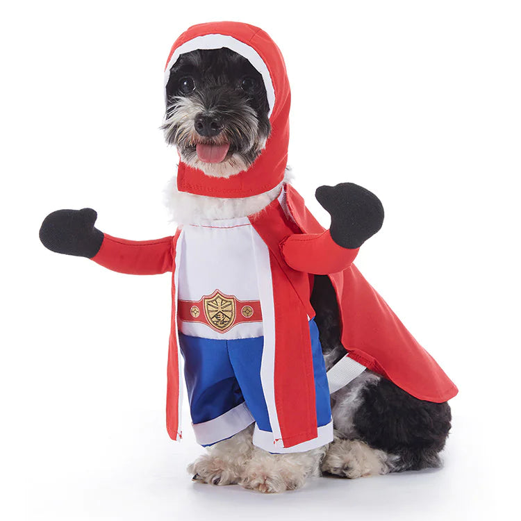 Halloween Pet Costumes