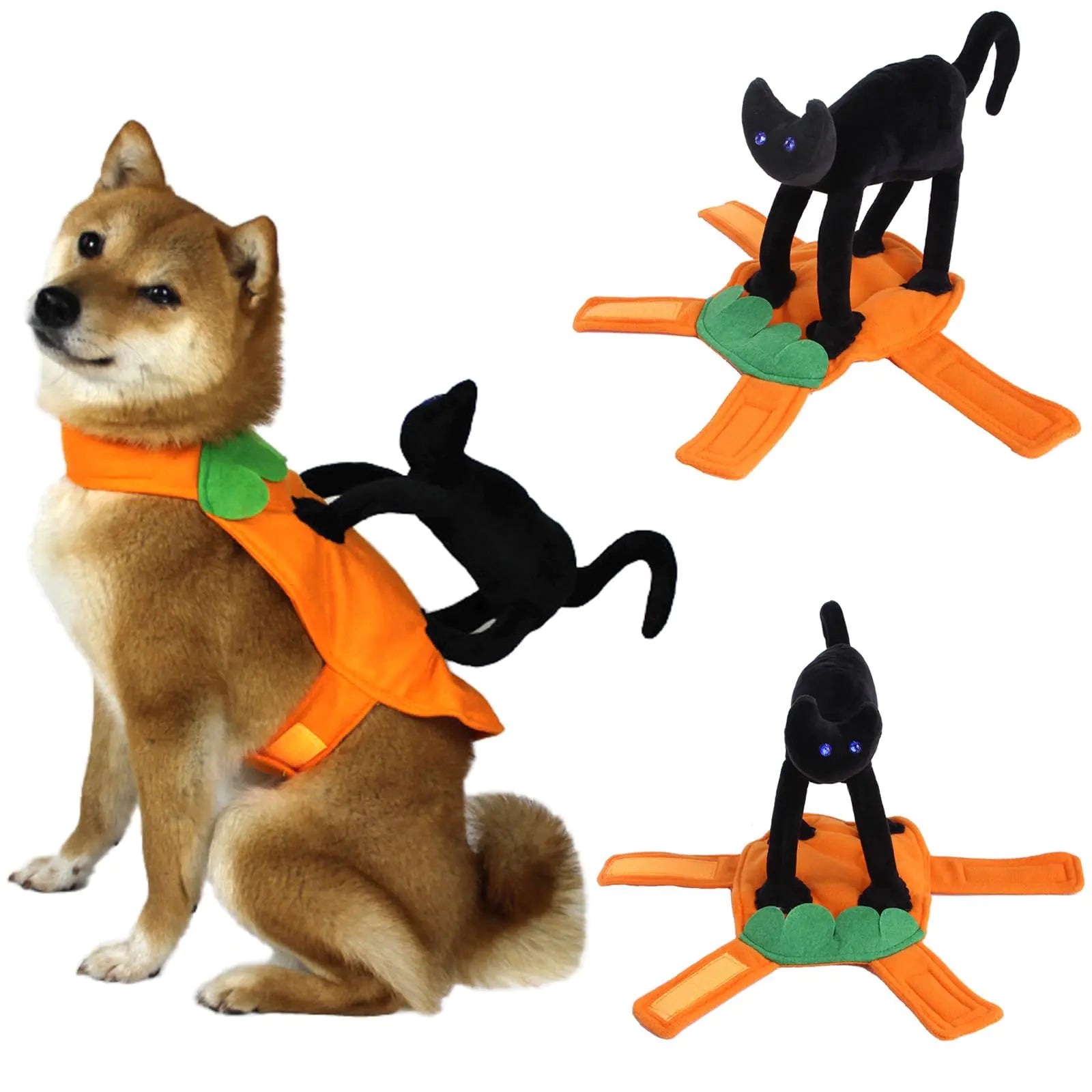 Halloween Costumes Pet Riding Costume - black cat riding pet