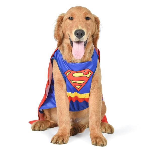 DC Comics Superhero Superman Halloween Costume - Medium