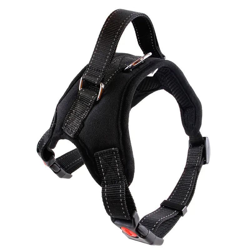 Medium and Large Dog Collar