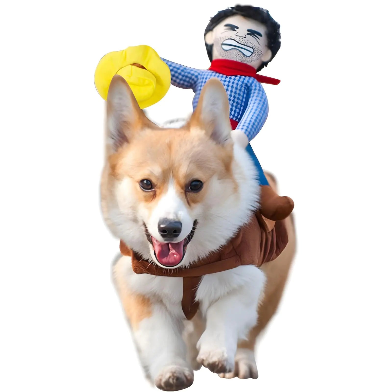 Cowboy Rider Pet Costume
