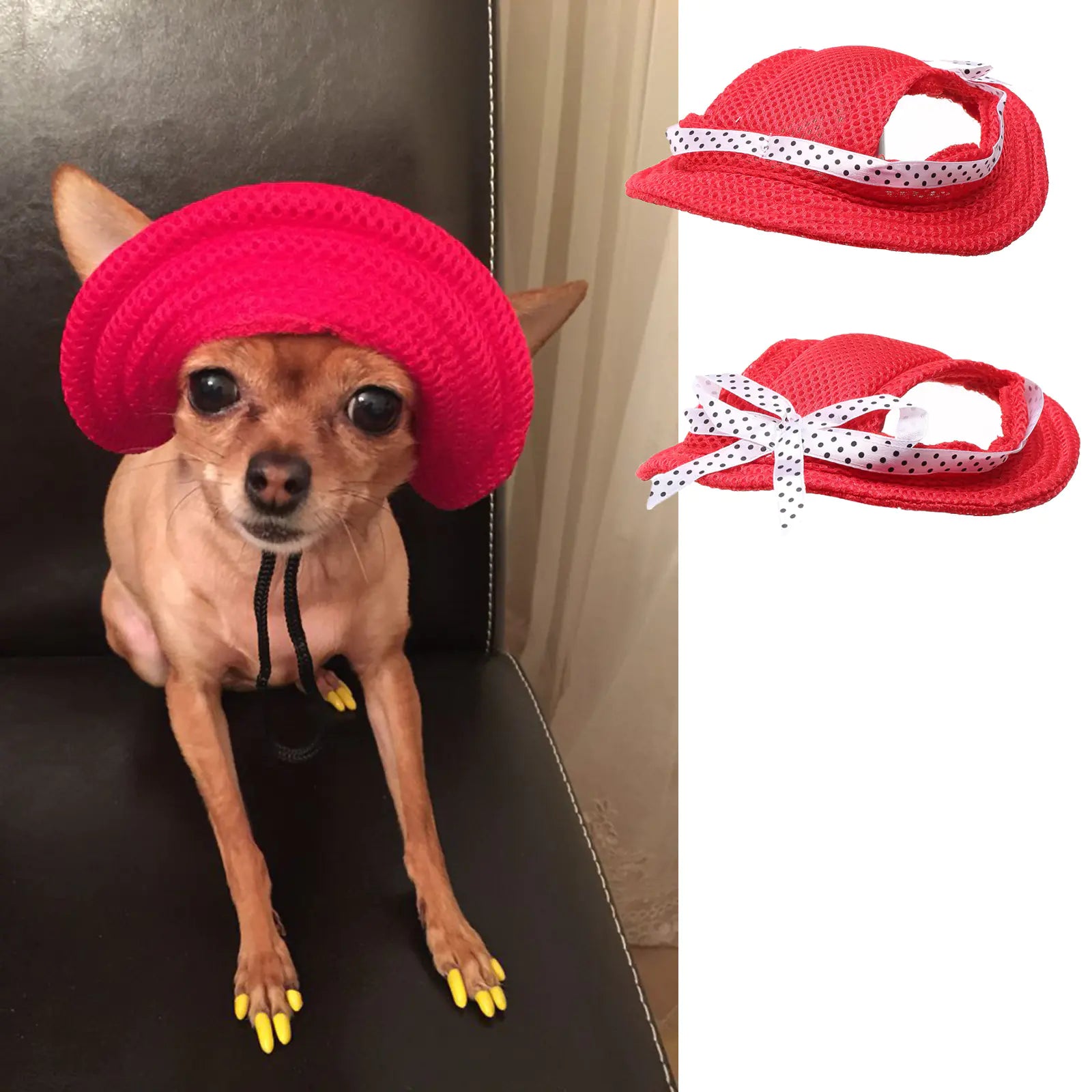 Summer Outdoor Breathable Cap - Pet Accessories