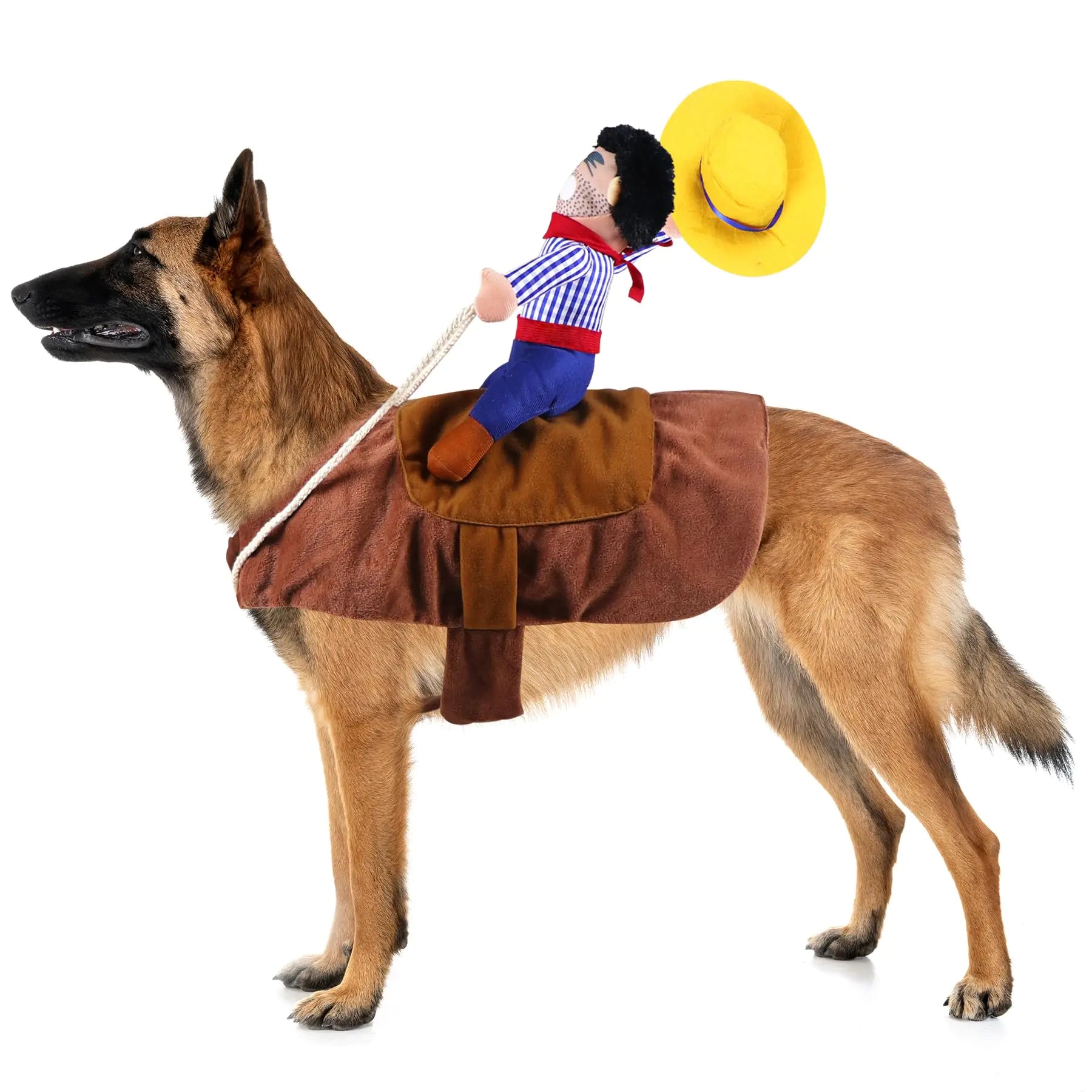 Halloween Cowboy Costume Dog