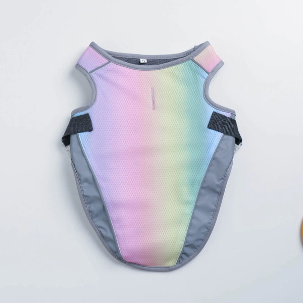 Cooling Dog Clothes for Summer Adventures