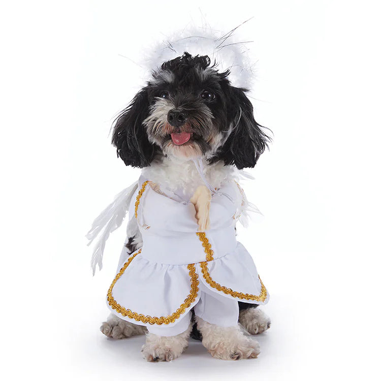 Halloween Pet Costumes