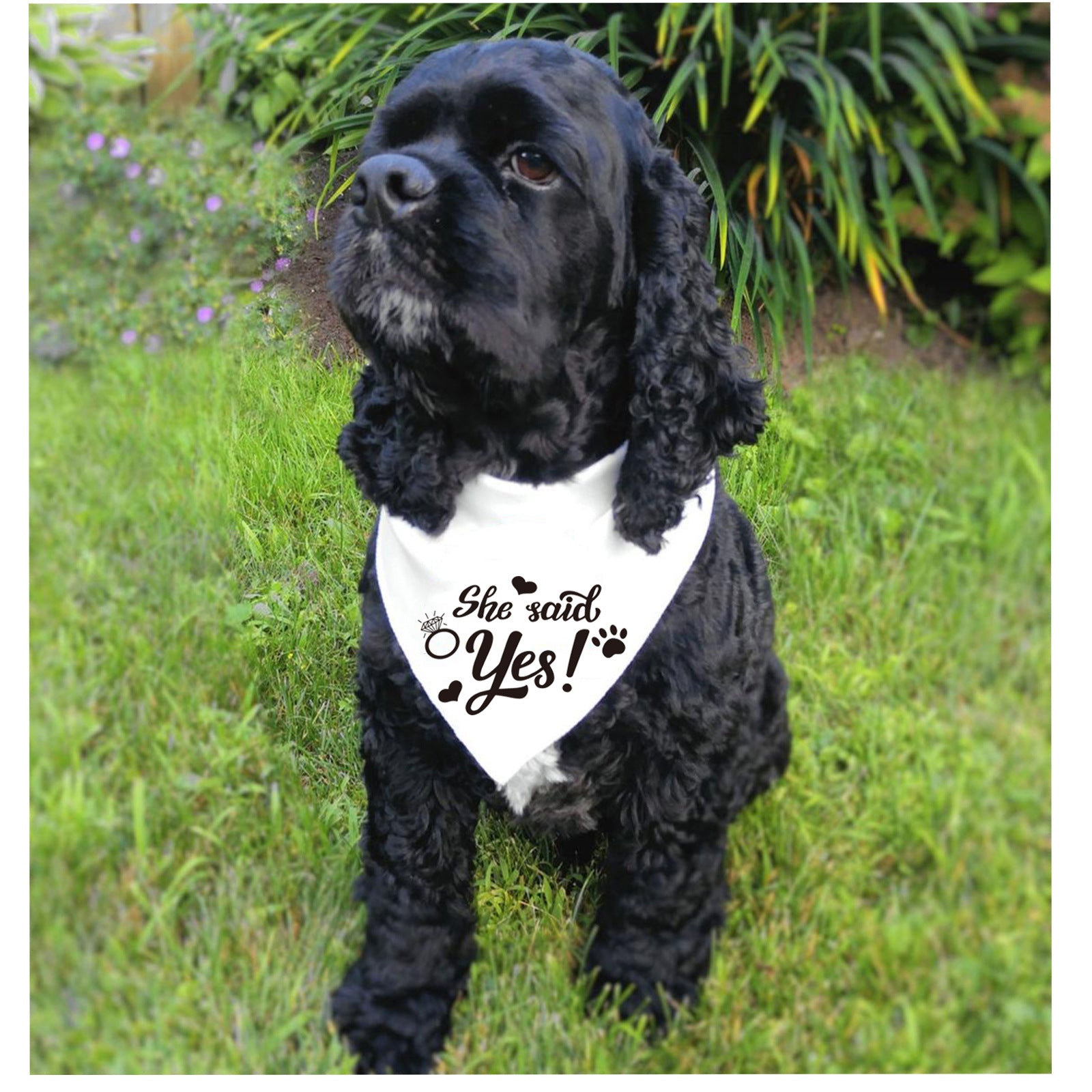 White Valentine's Day Pet Wedding Bandana