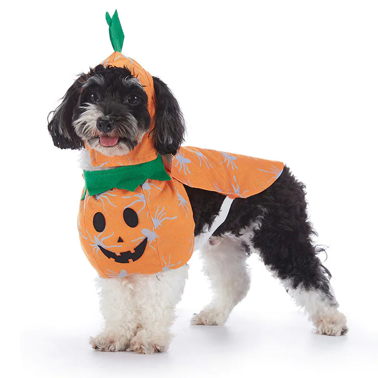 Halloween Pet Costumes