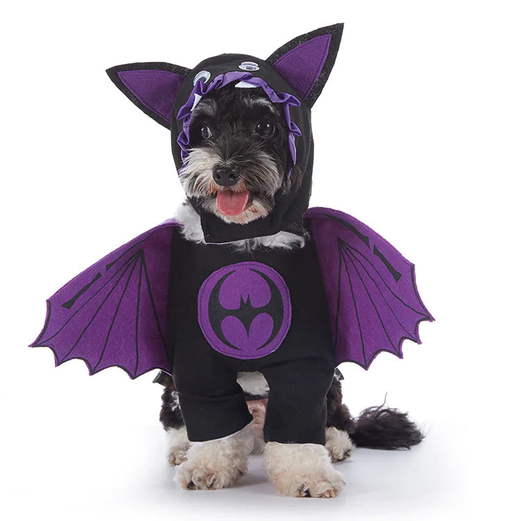 Halloween Pet Costumes