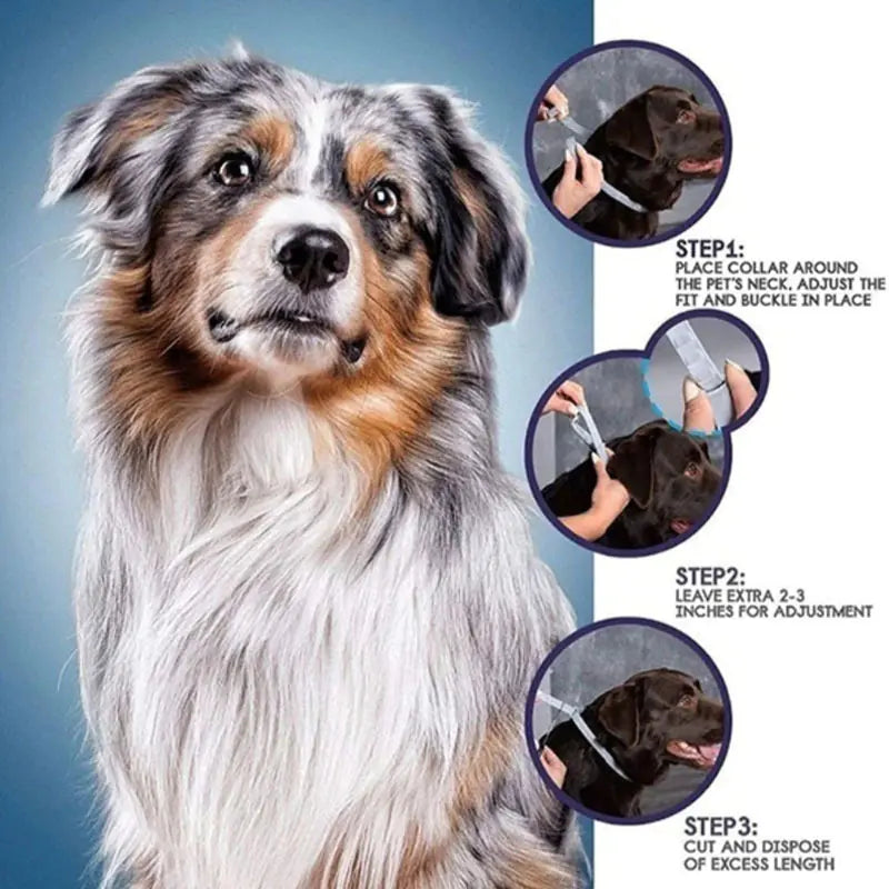 Bayer Seresto Flea and Tick Collar for Pets