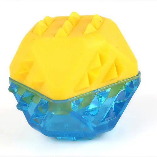 Water-Filled Frozen Bone Toys for Pets