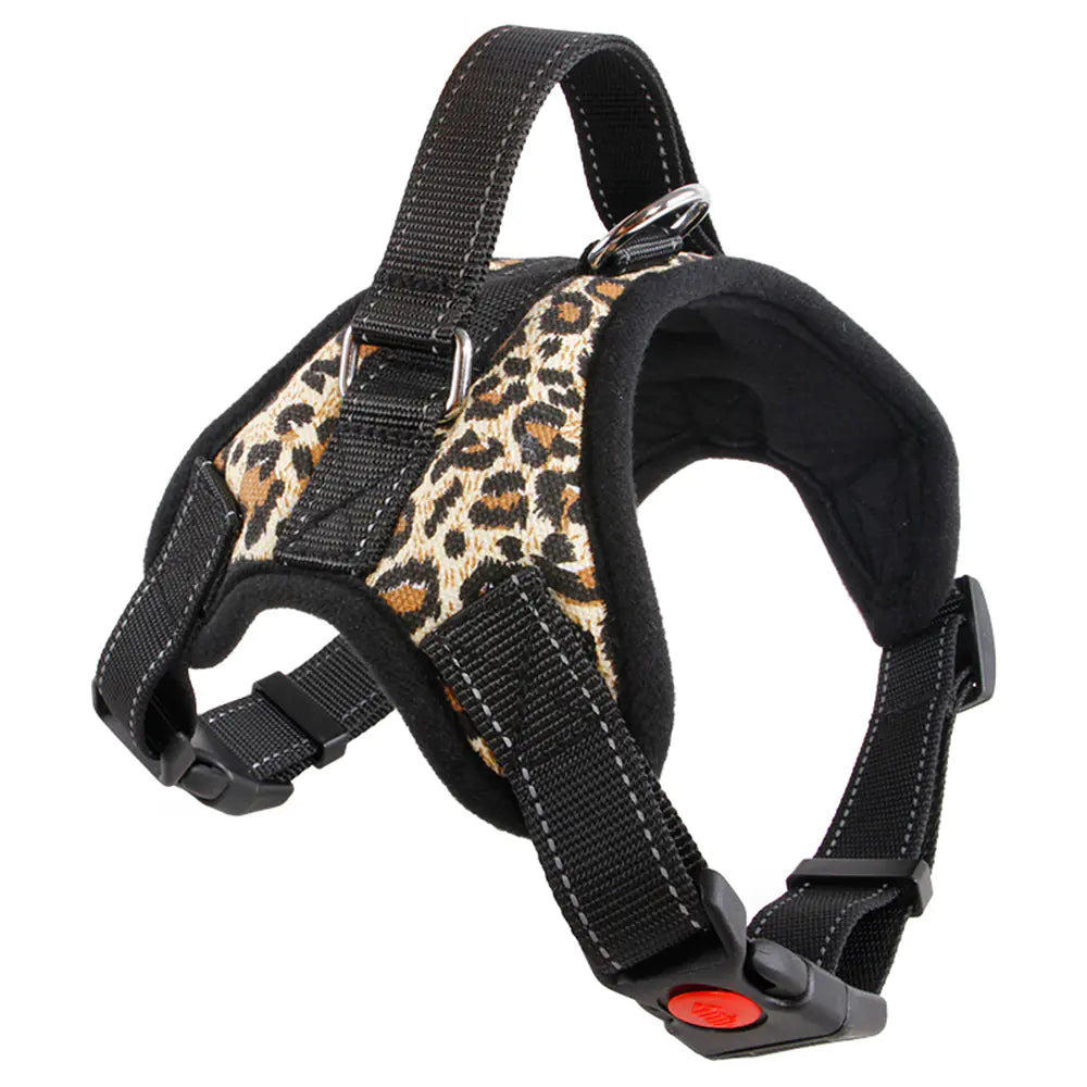 Medium and Large Dog Collar