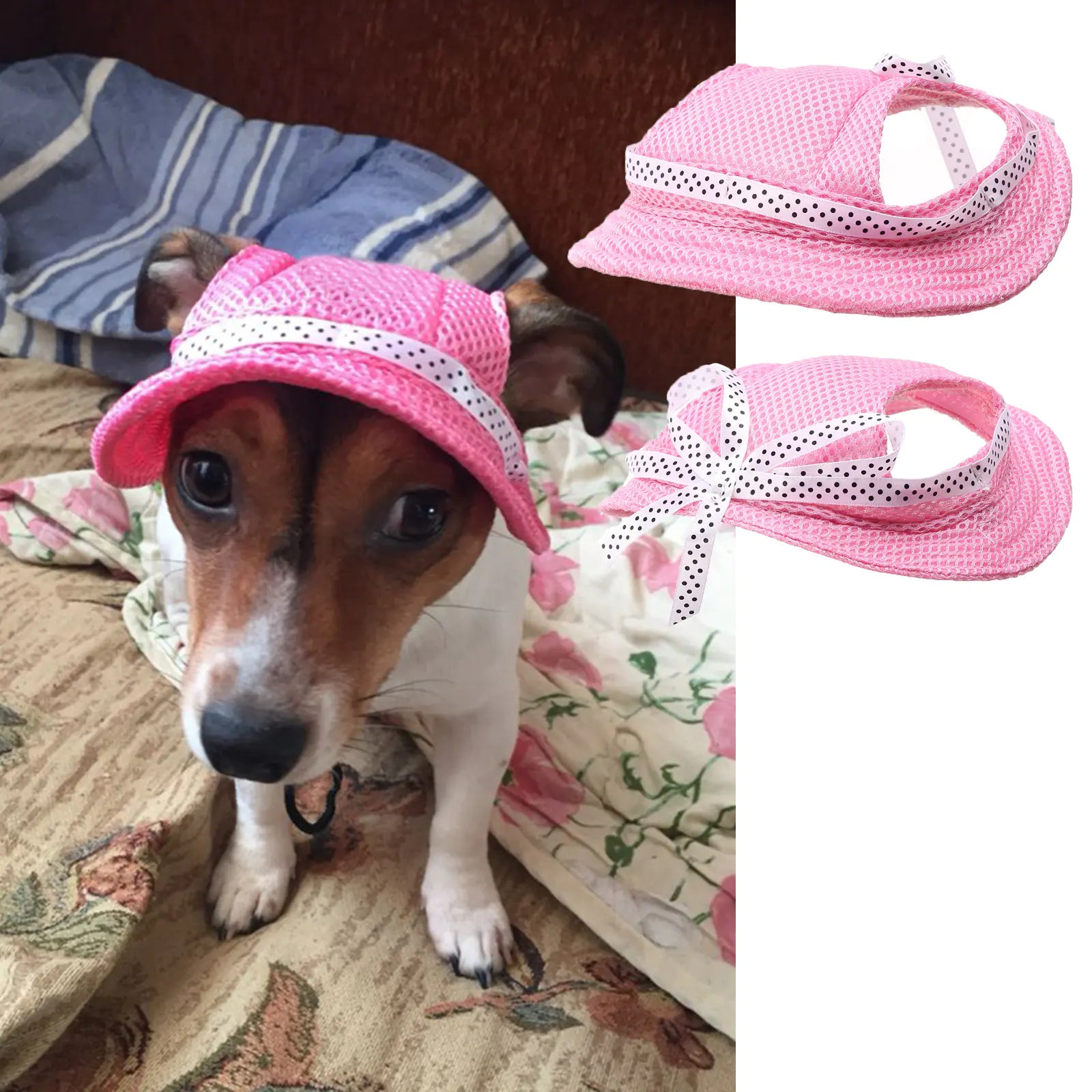 Summer Outdoor Breathable Cap - Pet Accessories