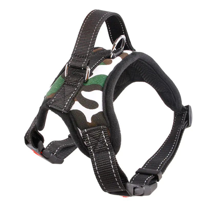Medium and Large Dog Collar