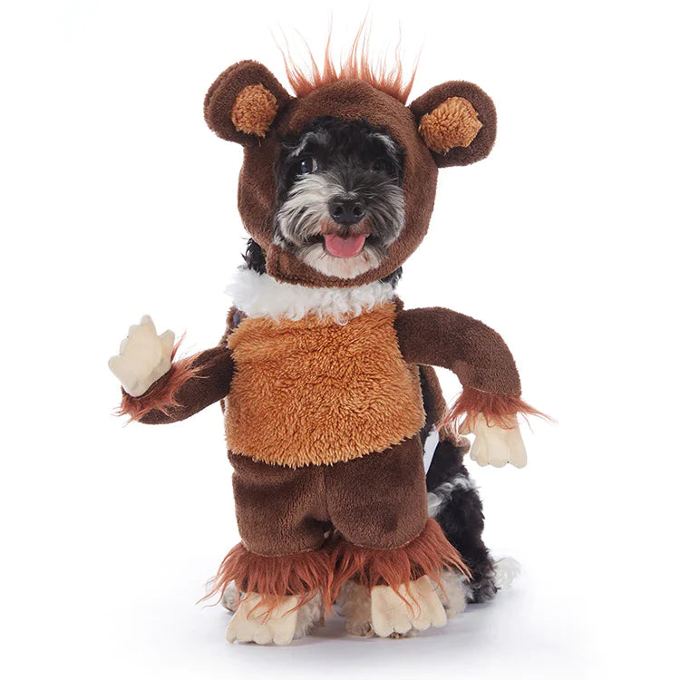 Halloween Pet Costumes