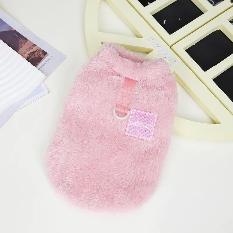 Fashionable Apparel for Your Pet