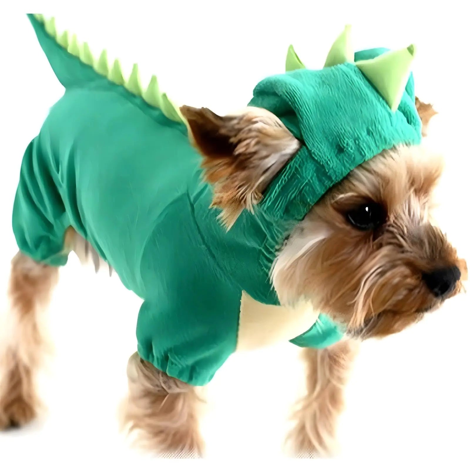 Dinosaur Costume - Halloween Costumes